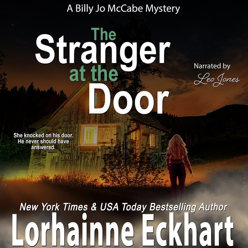 The Stranger at the Door Audiobook