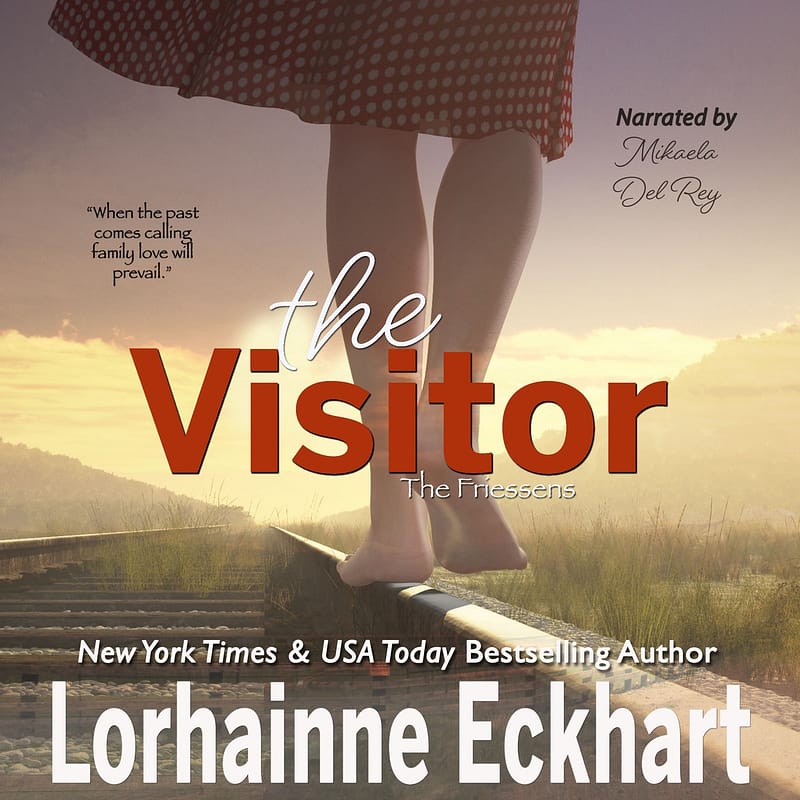 The Visitor Audiobook